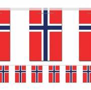 Flagguirlande Norge Lille (inde)